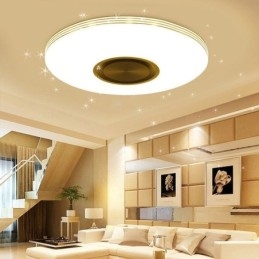 Flush Mount Ceiling Light Decorative Lamp Remote APP Control Bluetooth Music Speaker Lamp