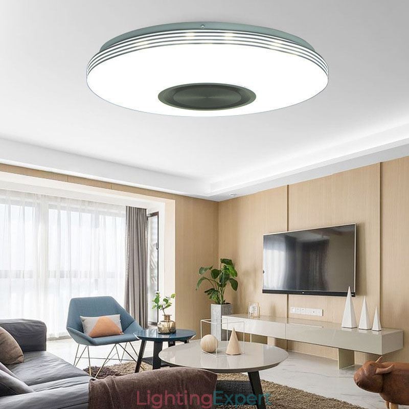 Flush Mount Ceiling Light Decorative Lamp Remote APP Control Bluetooth Music Speaker Lamp