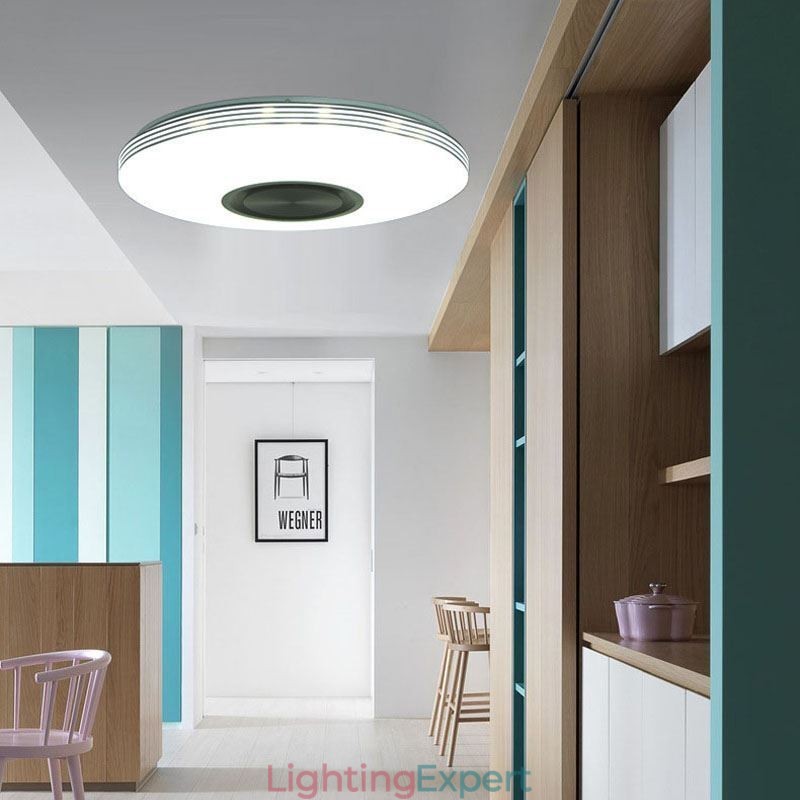 Flush Mount Ceiling Light Decorative Lamp Remote APP Control Bluetooth Music Speaker Lamp