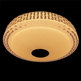 Ceiling Light Decorative Lamp Remote APP Control Bluetooth Music Speaker Flush Mount