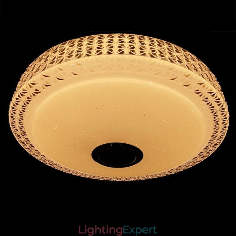 Ceiling Light Decorative Lamp Remote APP Control Bluetooth Music Speaker Flush Mount