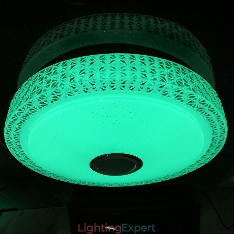 Ceiling Light Decorative Lamp Remote APP Control Bluetooth Music Speaker Flush Mount