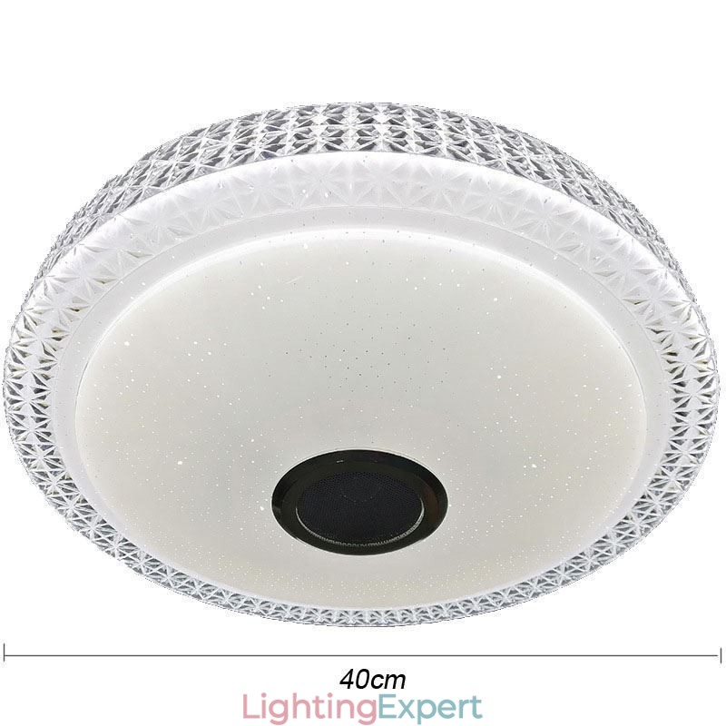 Ceiling Light Decorative Lamp Remote APP Control Bluetooth Music Speaker Flush Mount