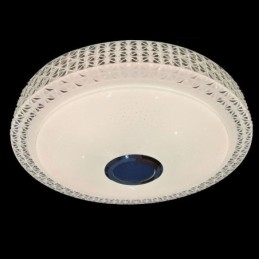 Ceiling Light Decorative Lamp Remote APP Control Bluetooth Music Speaker Flush Mount