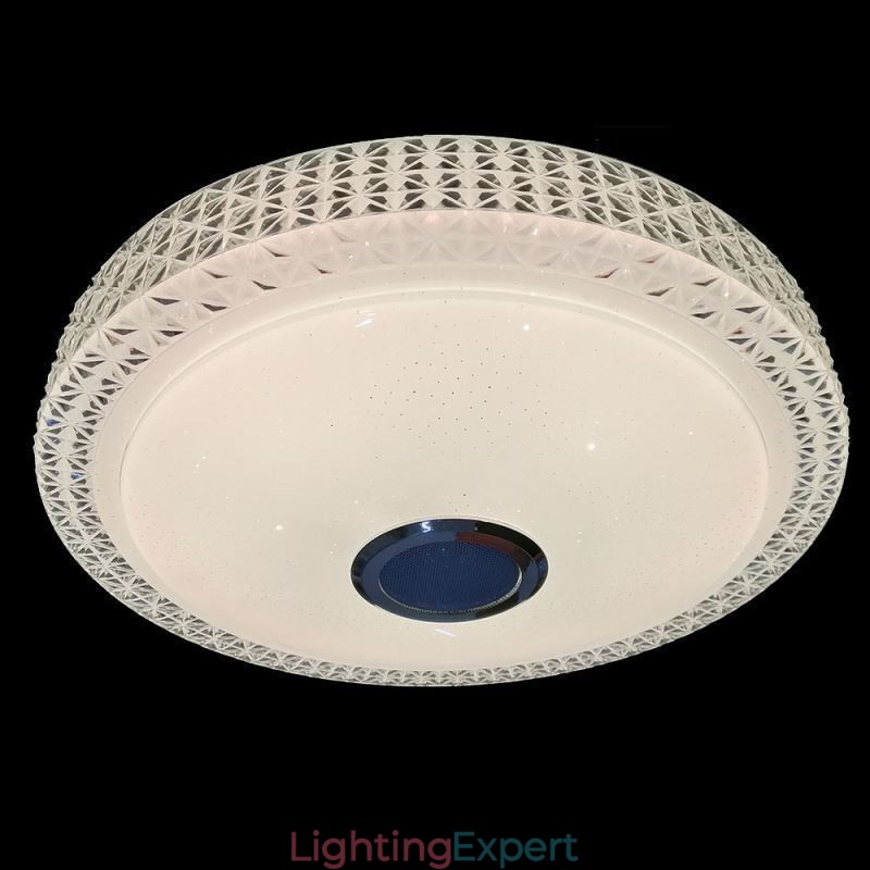 Ceiling Light Decorative Lamp Remote APP Control Bluetooth Music Speaker Flush Mount