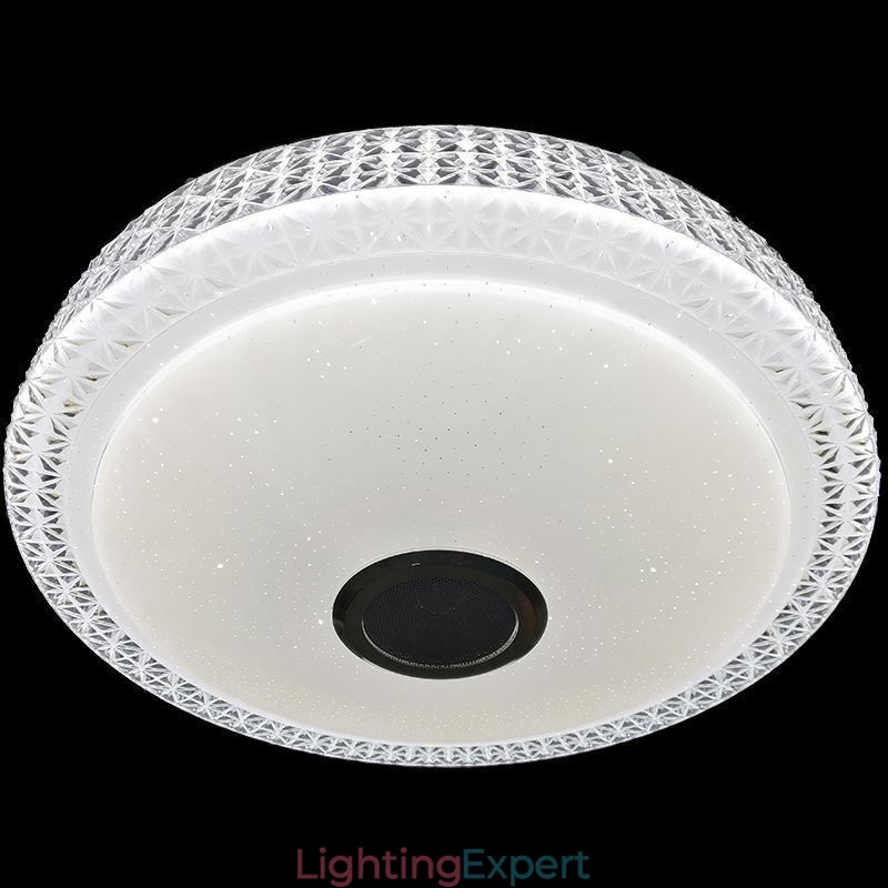 Ceiling Light Decorative Lamp Remote APP Control Bluetooth Music Speaker Flush Mount