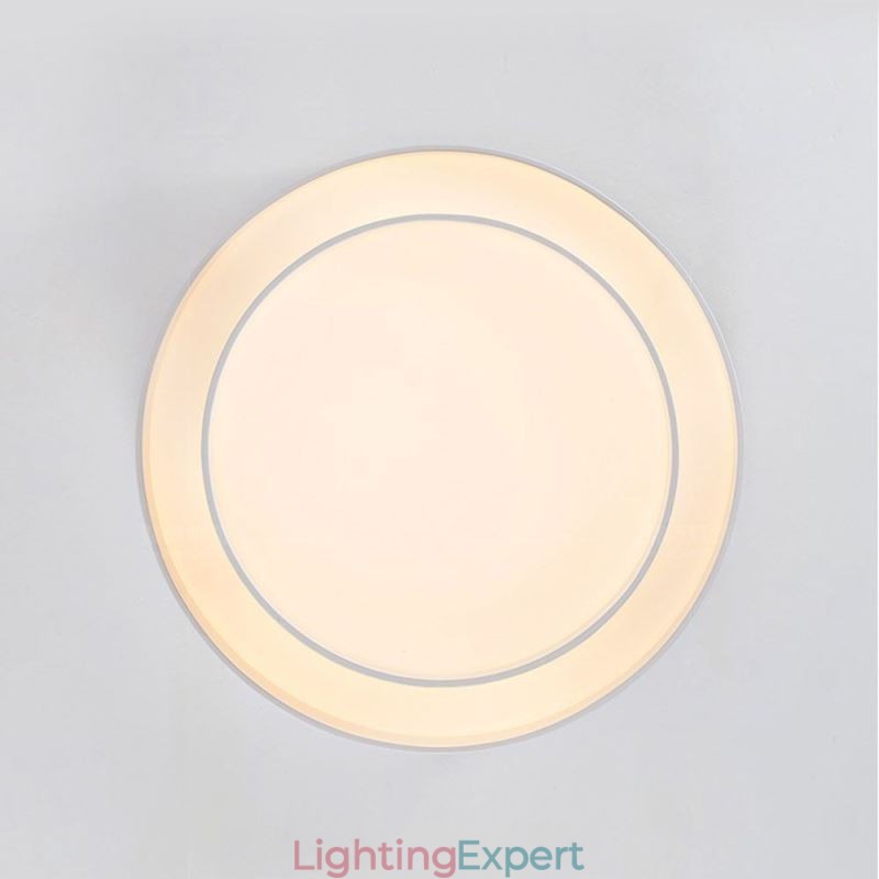 Contemporary Flush Mount Circular Ceiling Light