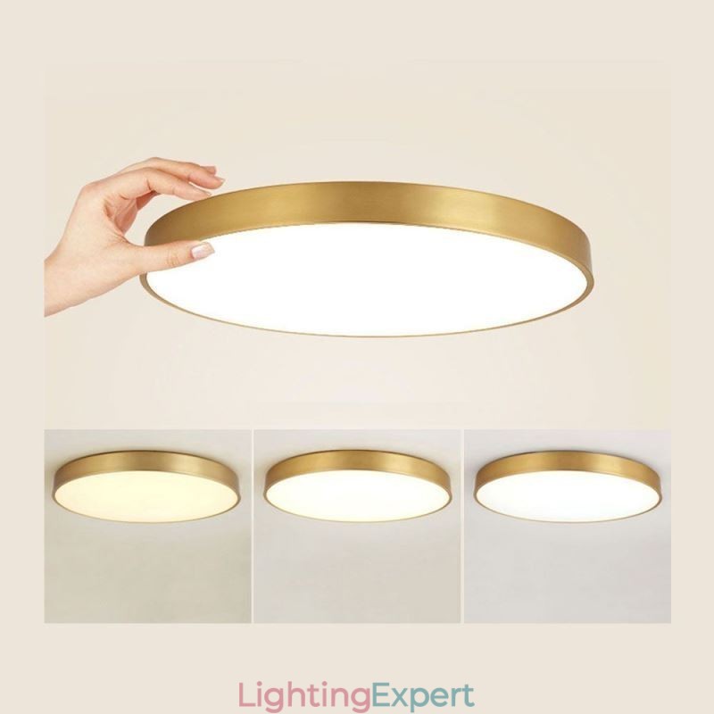 Round Flush Mount Modern Golden Acrylic Ceiling Light