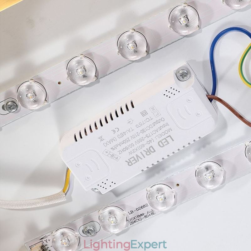 Round Flush Mount Modern Golden Acrylic Ceiling Light