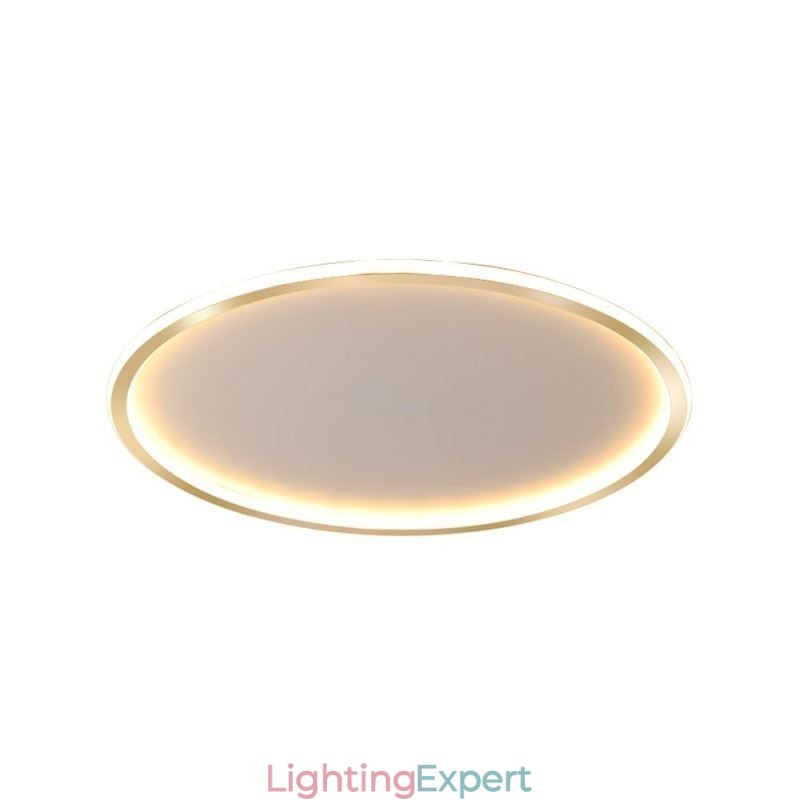 Flush Mount Minimalist Circular Ceiling Light