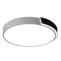 Modern Simple Flush Mount Circular Ceiling Light