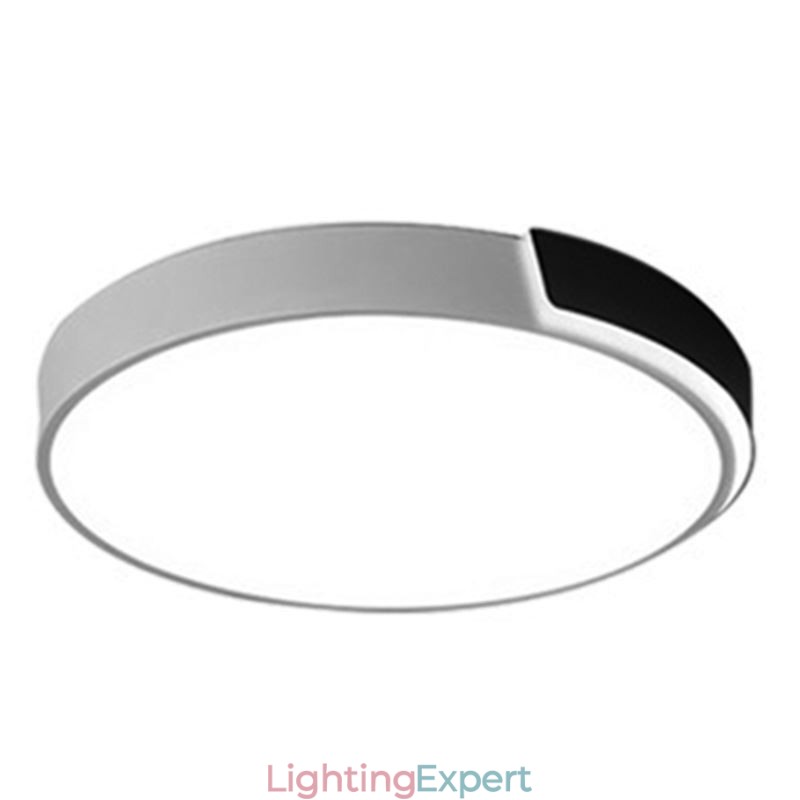 Modern Simple Flush Mount Circular Ceiling Light