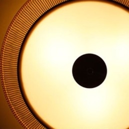 Chinese Special Bamboo Flush Mount Creative Japanese Round Ceiling Light