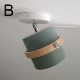 Round Macaron Spotlight Chromatic Ceiling Light(Single Light)