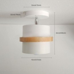Round Macaron Spotlight Chromatic Ceiling Light(Single Light)