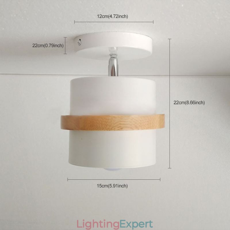 Round Macaron Spotlight Chromatic Ceiling Light(Single Light)