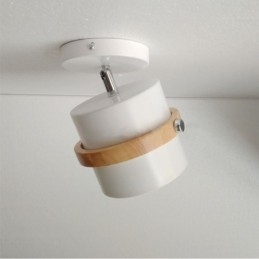 Round Macaron Spotlight Chromatic Ceiling Light(Single Light)