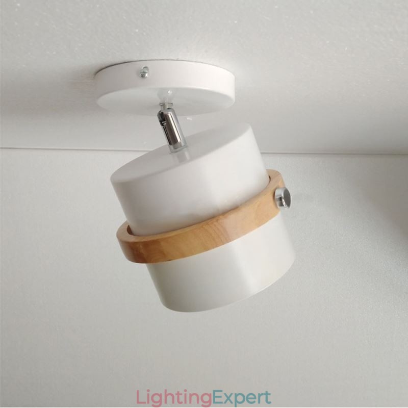 Round Macaron Spotlight Chromatic Ceiling Light(Single Light)