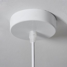 Resin Pendant Light Modern Hanging Light