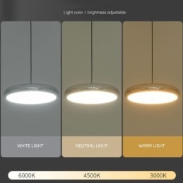 Ceiling Light Three Head Pendant Light