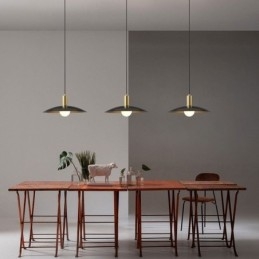 Modern Simple Pendant Light Hanging Lamps