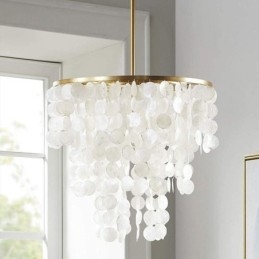 Contemporary Shell Hanging Ceiling Lighting