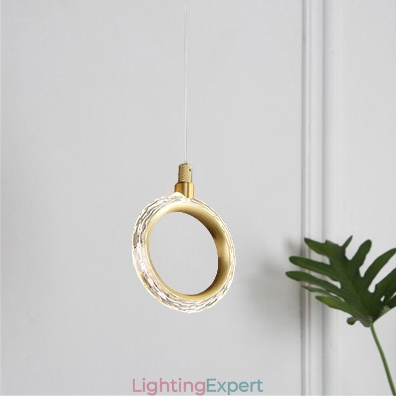 Pendant Light Acrylic Ring Light Fixture with Spotlight