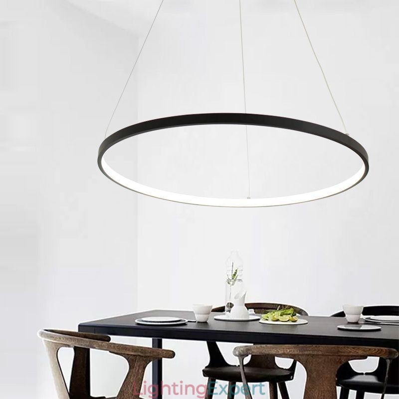 Pendant Light Acrylic Circle Hanging Light