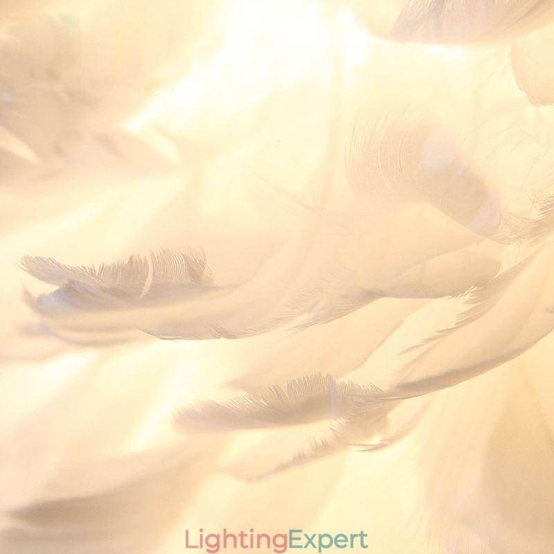 Pretty Feather Decorative Pendant Light Fixture