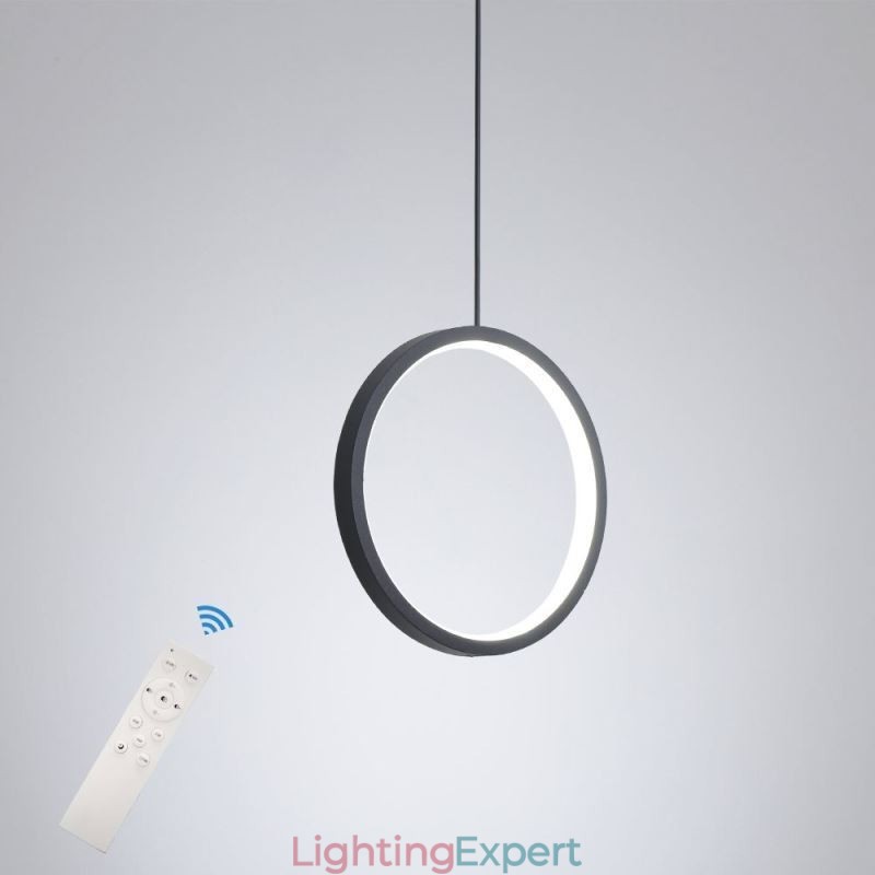 Minimalist Ring Pendant Light Decorative Ceiling Light