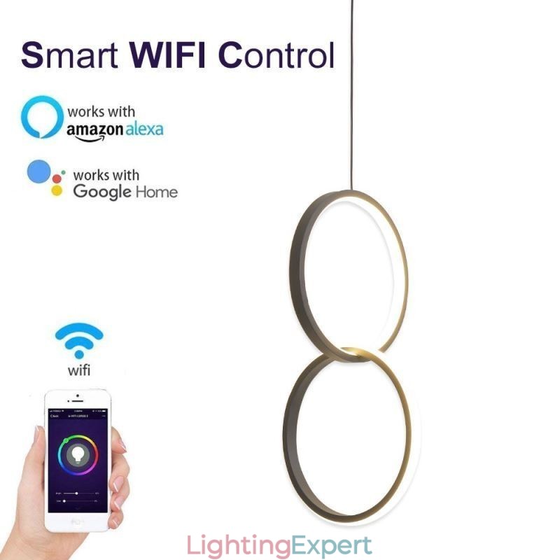 Mimimalist Double Ring Pendant Light