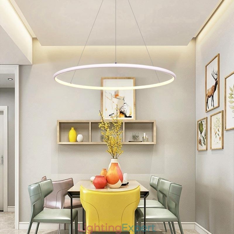 Modern Pendant Light Circle Lamp 60cm 80cm