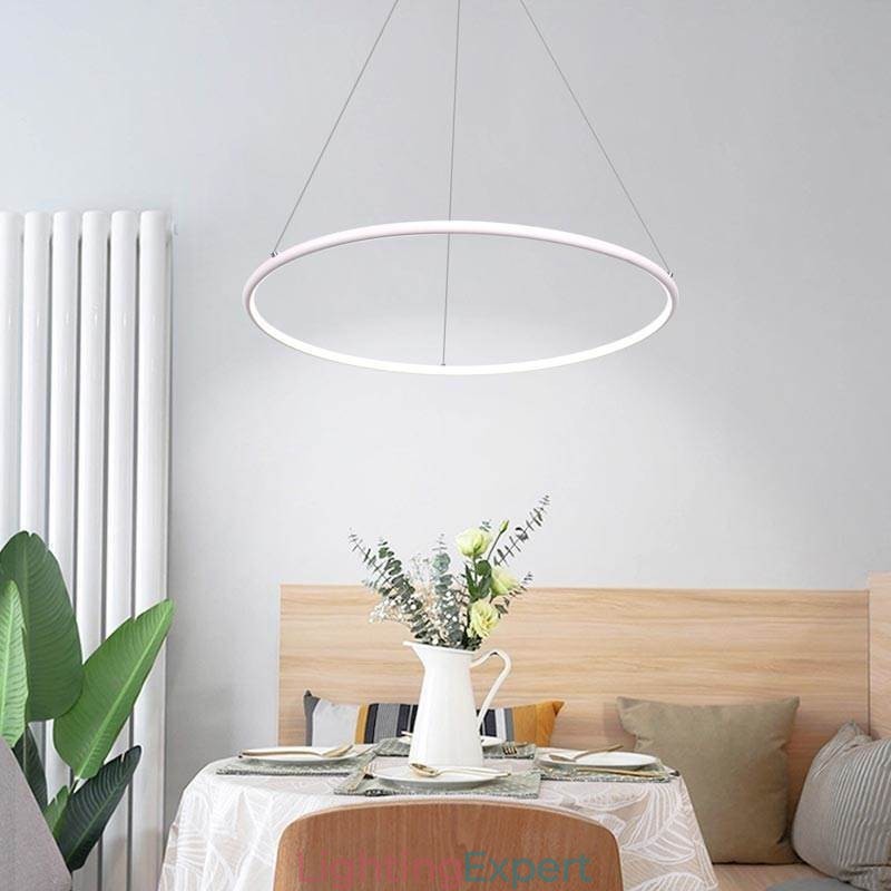 Modern Pendant Light Circle Lamp 60cm 80cm
