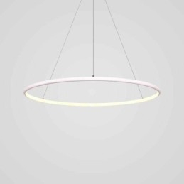 Modern Pendant Light Circle Lamp 60cm 80cm