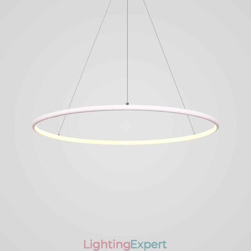 Modern Pendant Light Circle Lamp 60cm 80cm