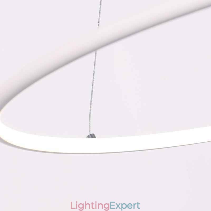 Modern Pendant Light Circle Lamp 60cm 80cm