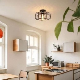 Simple Flush Mount Iron Bird Cage Ceiling Light