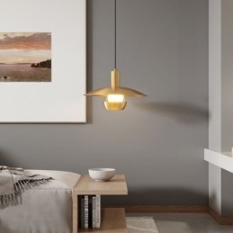 Brushed Gold Pendant Light Single Head Hanging Lamp