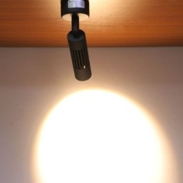 Rotatable COB Spotlight Black Ceiling Spotlight(Single Light)