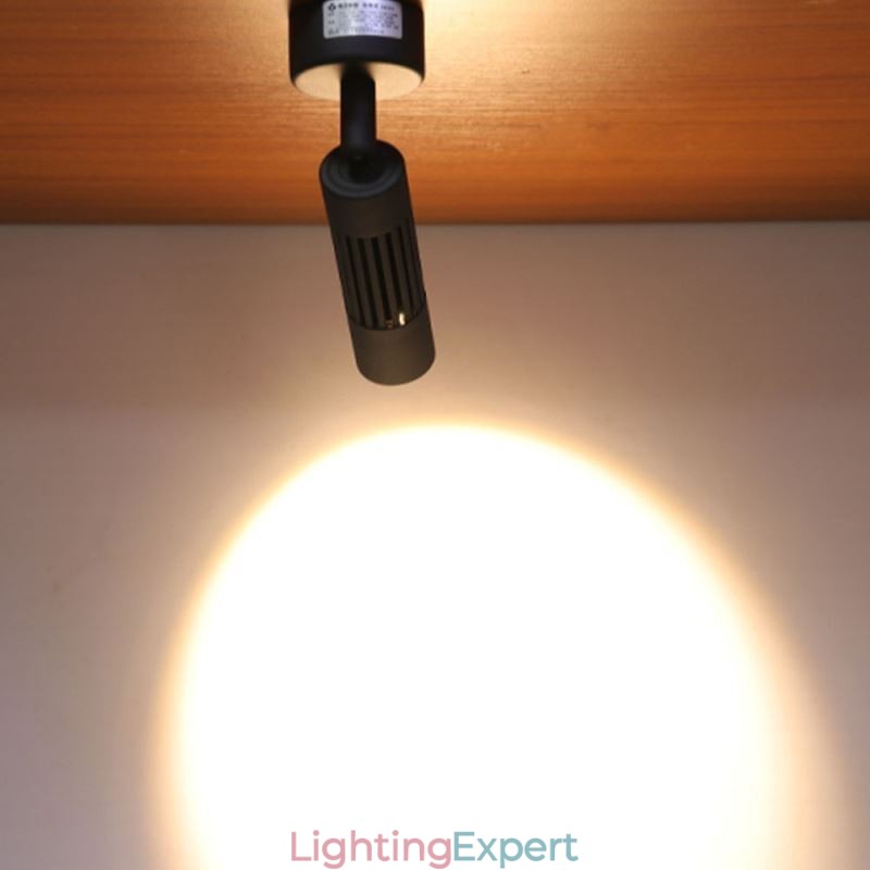 Rotatable COB Spotlight Black Ceiling Spotlight(Single Light)