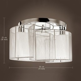 Ceiling Light Modern Design 2 Lights