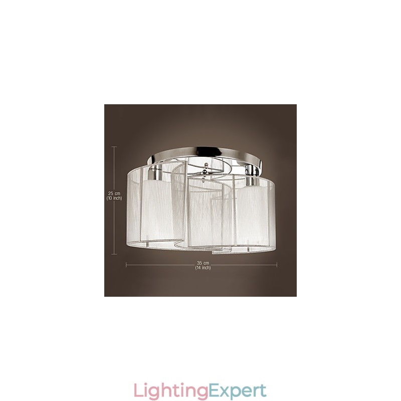 Ceiling Light Modern Design 2 Lights