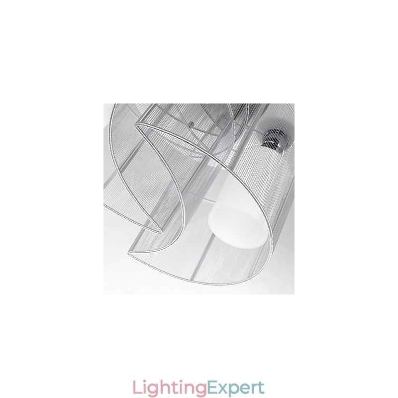 Ceiling Light Modern Design 2 Lights