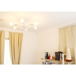 The Regulation Control Ceiling Lamps