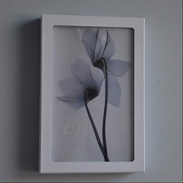 Integrated Modern Contemporary Modern Comtemporary Painting Feature for Ambient Light Wall Sconces