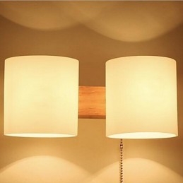 Modern Contemporary Others Feature Downlight Wall Sconces Wall Light