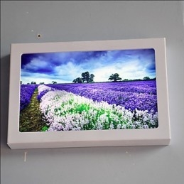 Integrated Modern Contemporary Modern Comtemporary Painting Feature for Ambient Light Wall Sconces