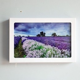 Integrated Modern Contemporary Modern Comtemporary Painting Feature for Ambient Light Wall Sconces
