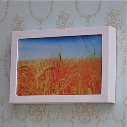 Integrated Modern Contemporary Modern Comtemporary Painting Feature for Ambient Light Wall Sconces