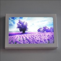 Integrated Modern Contemporary Modern Comtemporary Painting Feature for Ambient Light Wall Sconces
